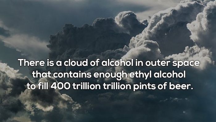 Facts About Booze