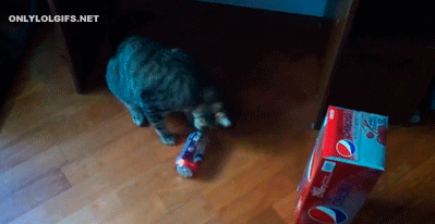 Daily GIFs Mix, part 998