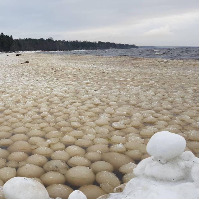 Ice Balls On The Coast Of The Gulf Of Finland