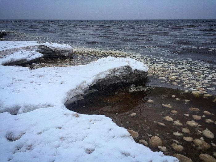 Ice Balls On The Coast Of The Gulf Of Finland
