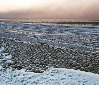 Ice Balls On The Coast Of The Gulf Of Finland