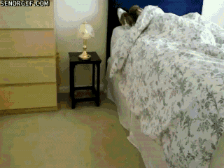 Daily GIFs Mix, part 999