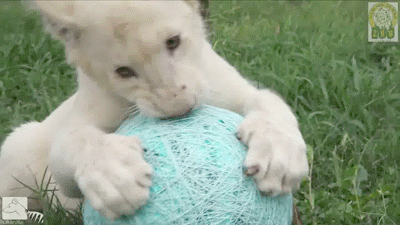 Daily GIFs Mix, part 1000