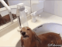 Daily GIFs Mix, part 1001