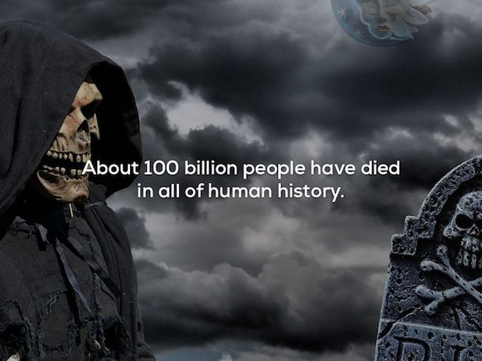 Scary Ad Strange Facts