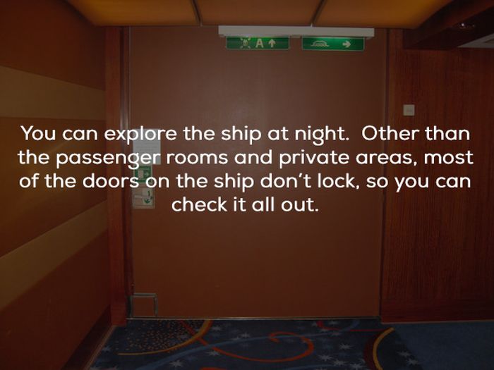 Facts About Cruise Ships