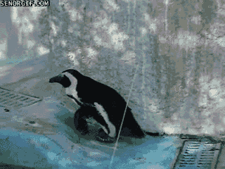 Daily GIFs Mix, part 1003