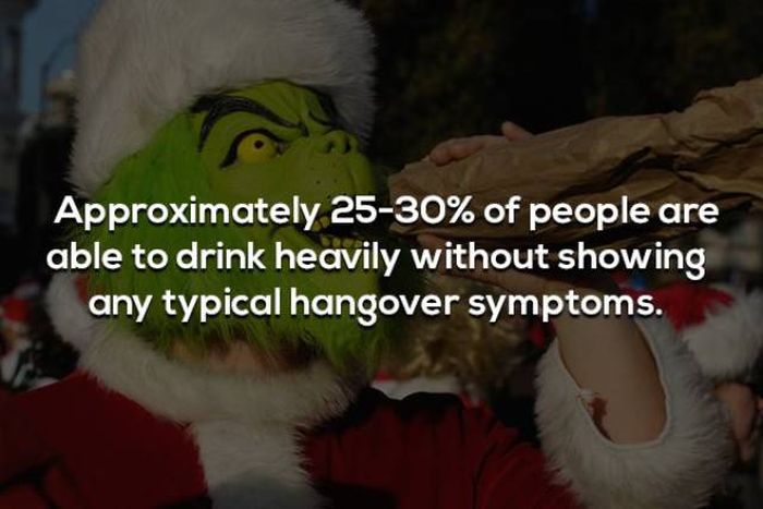 Hangover Facts