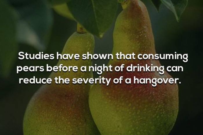 Hangover Facts