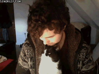 Daily GIFs Mix, part 1005