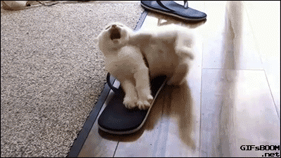 Daily GIFs Mix, part 1005