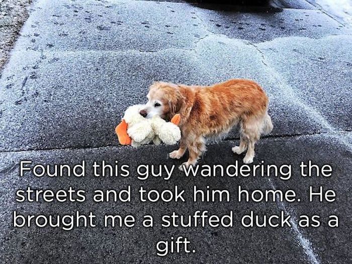 Pets Bring Gifts