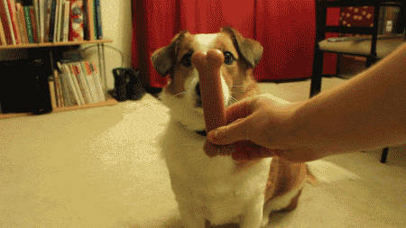 Daily GIFs Mix, part 1006