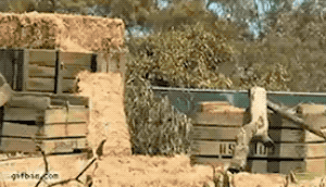 What Ordinary GIFs Look Like In Michael Bay’s Head