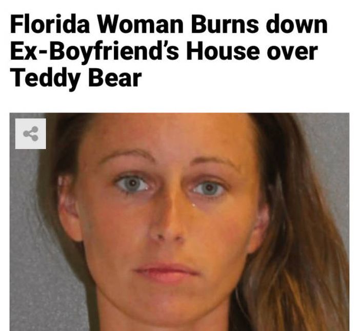 Florida Is A Very Weird Place, part 2