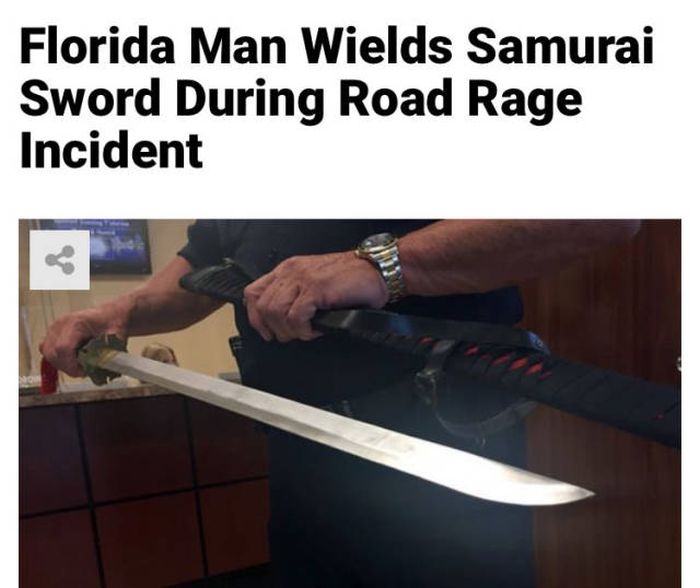 Florida Is A Very Weird Place, part 2