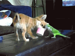 Daily GIFs Mix, part 1008