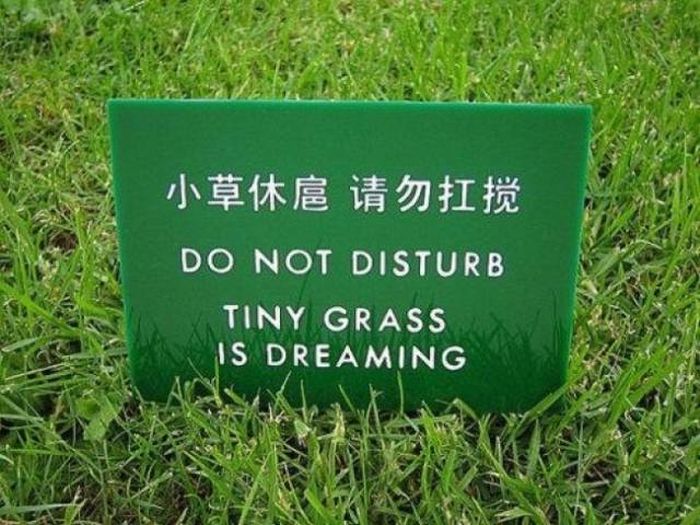Translation Fails Are Always Hilarious