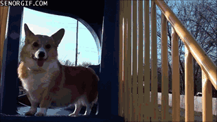 Daily GIFs Mix, part 1011