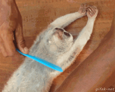 Daily GIFs Mix, part 1012