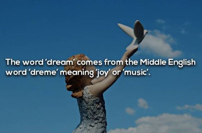 Facts About Dreaming