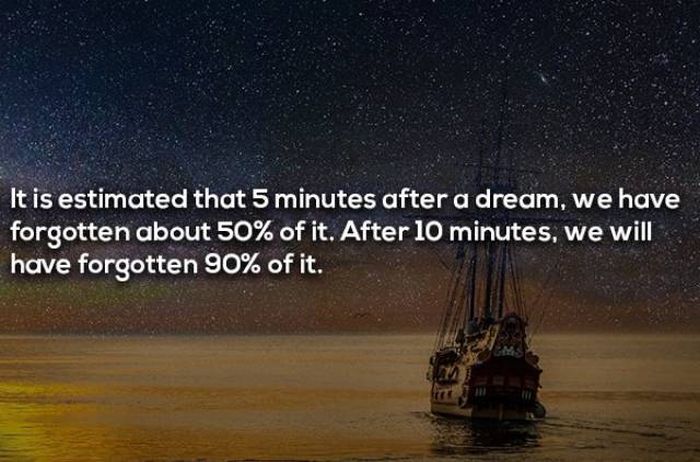 Facts About Dreaming