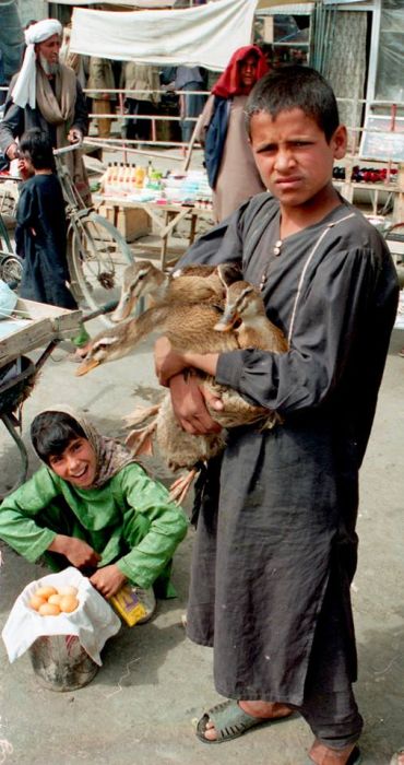 Afghanistan In 1995, part 1995