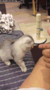 Daily GIFs Mix, part 1013