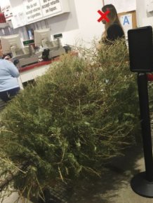 Woman Returns A Christmas Tree On January 4th, Here Is The Shop’s Response