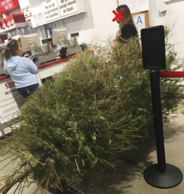 Woman Returns A Christmas Tree On January 4th, Here Is The Shop’s Response
