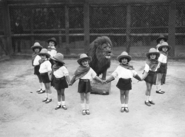 Vintage Photos Of The LA Lion Farm
