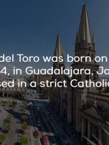 Facts About Guillermo del Toro