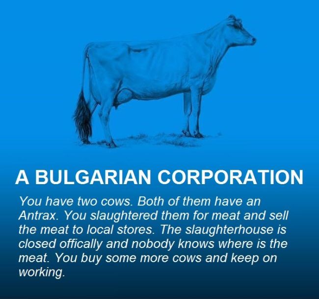Cows Explain Economics