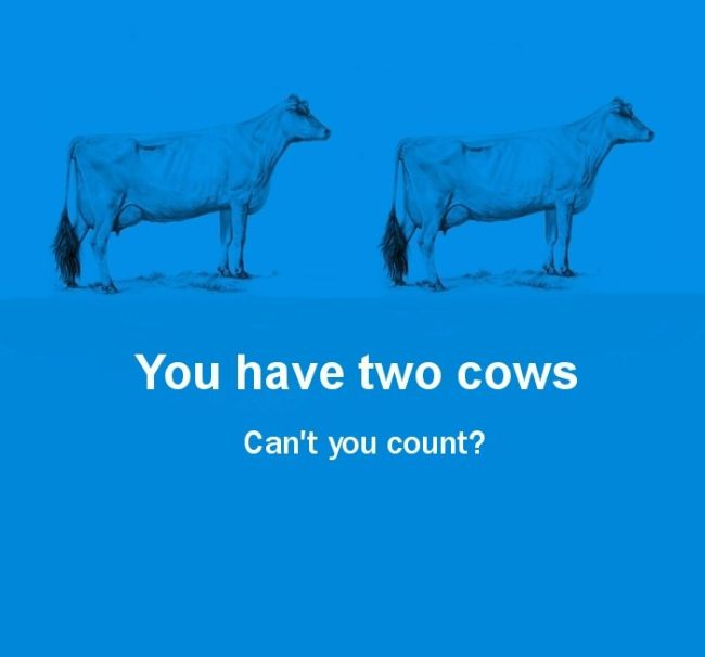 Cows Explain Economics