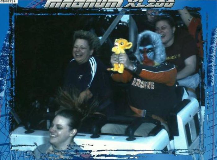 Rollercoaster Fun