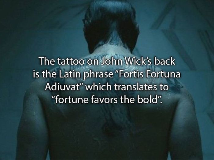John Wick Movie Facts