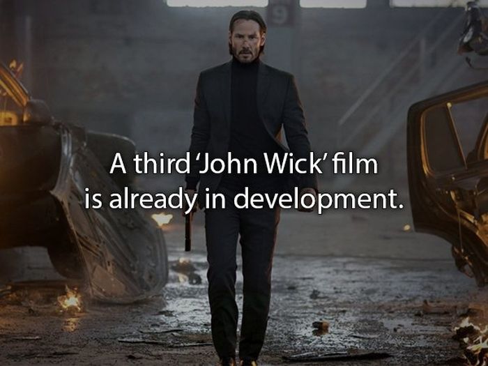 John Wick Movie Facts