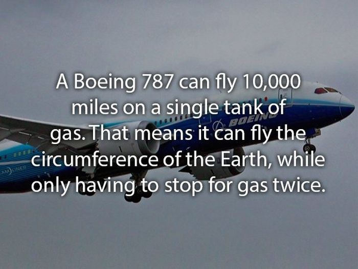 Facts About Flying