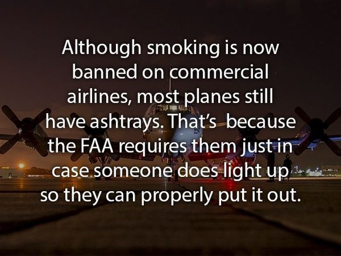 Facts About Flying