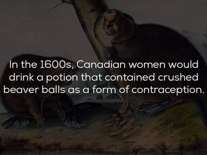 Interesting History Facts
