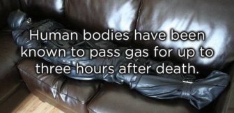 Facts About Farts