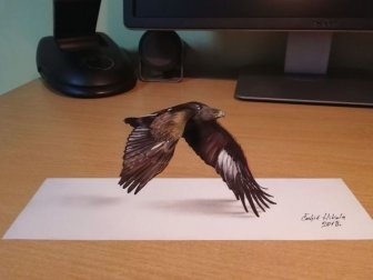 Amazing 3D Drawings