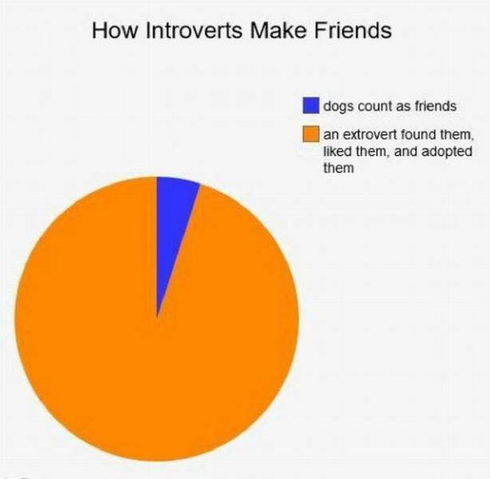 Problems Introverts Have