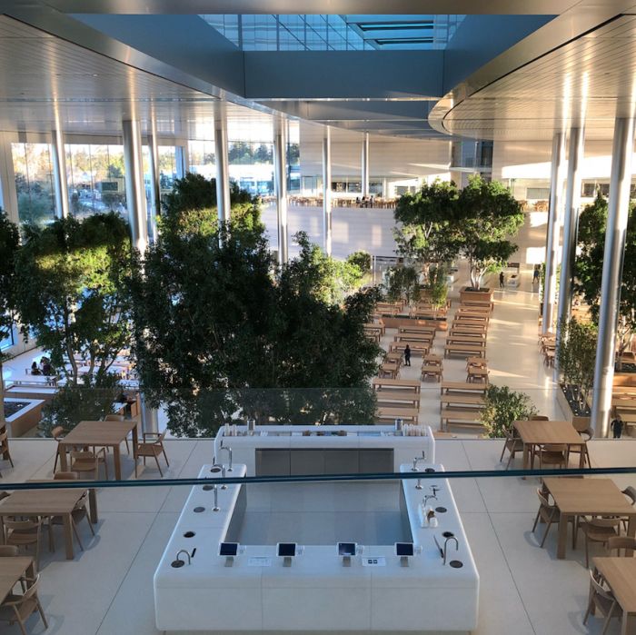 Photos Of The New Apple Headquarters
