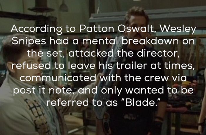 Interesting Facts About Blade: Trinity