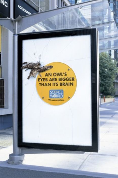 Great Science World Ads