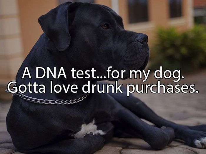 The Most Ridiculous Things People Have Bought While Drunk