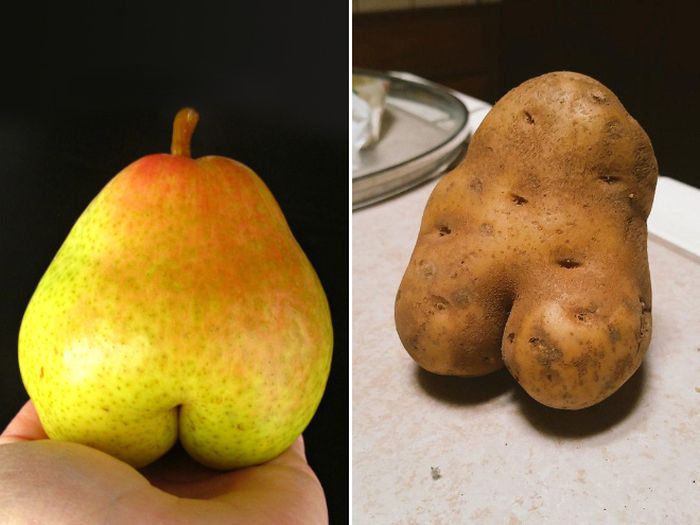 Things That Look Like Butts