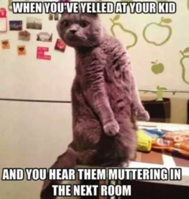 Memes About Parenting, part 2