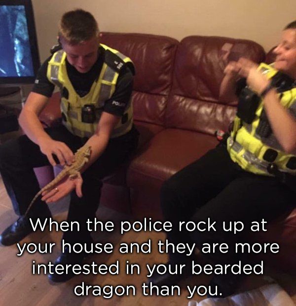 Funny Cops